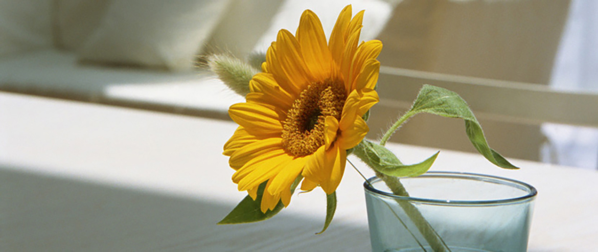 東かがわ市湊、讃岐白鳥駅近く、消化器内科 外科 循環器内科